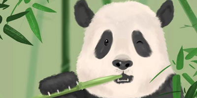 首個中國大熊貓國際形象出爐，網友看后不經“噗”的笑出聲
